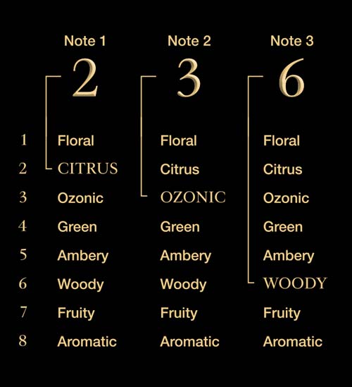 Maison_Noir_Notes_2e6936716c