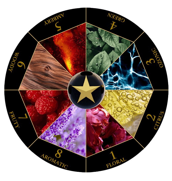 Maison_Noir_Notes_Wheel_49825b6568